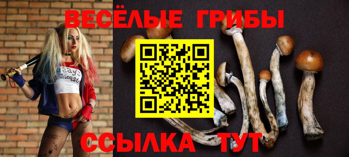 Псилоцибиновые грибы Magic Shrooms  Вход с VPN  Сочи  купить  сайты  Галлюциногенные грибы прущие грибы 