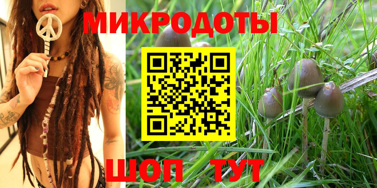 Галлюциногенные грибы ЛСД Сочи
